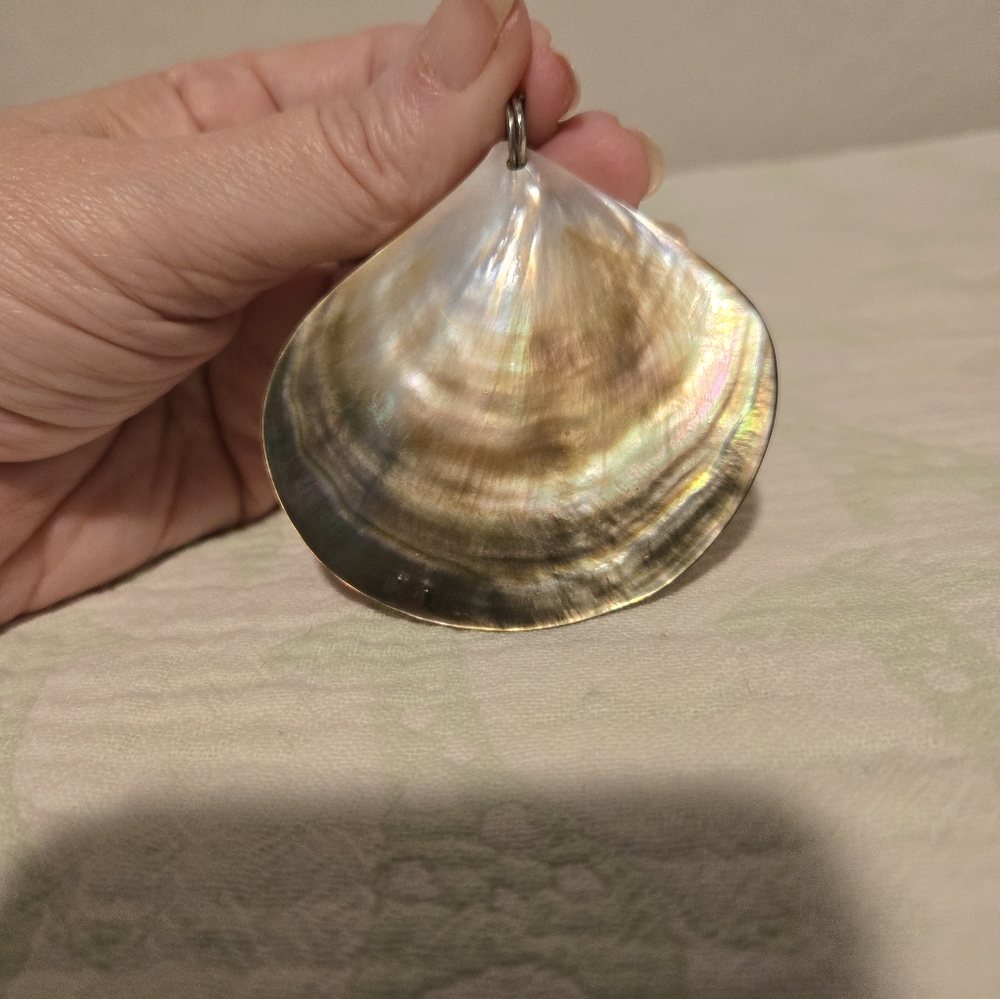 Beautiful Tahitian Brownlip Mother Of Pearl Shell Pendant.